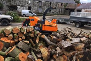 Isle of Man log pile